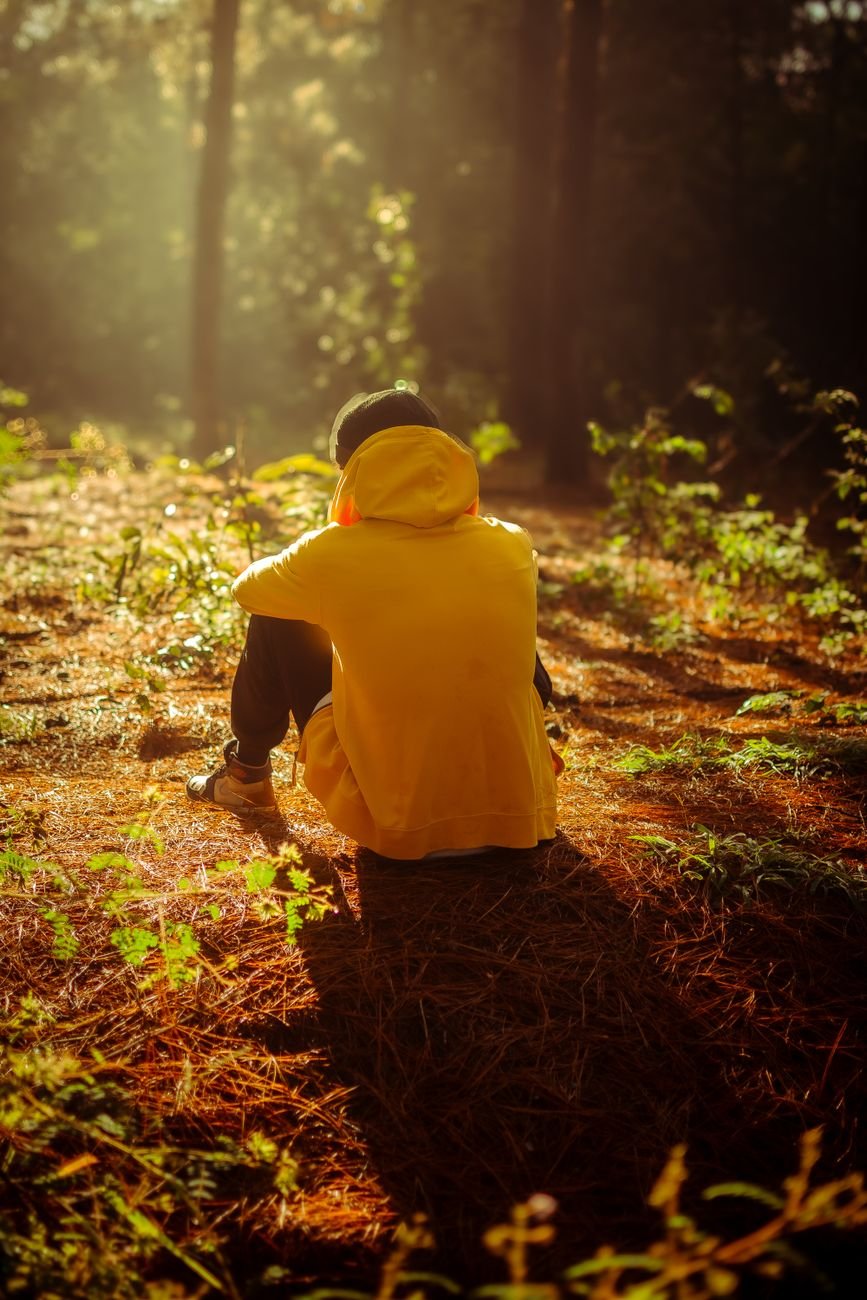 A person sits alone quietly in a sunlit forest, contemplating nature.
